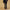 Arezzo broek - Navy