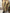Trench coat - Zwart - Blauw - Bruin