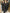 Trench coat - Zwart - Blauw - Bruin