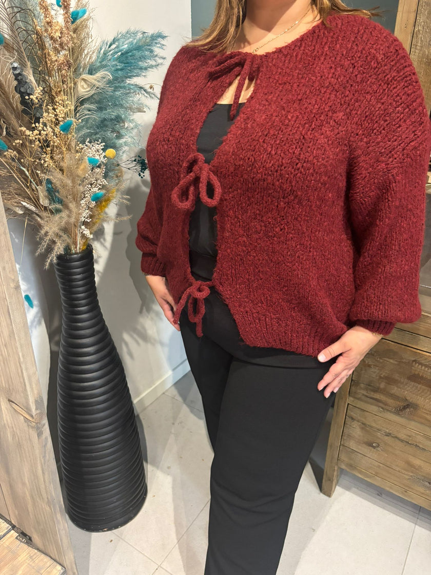 Een persoon met een vrouwelijke uitstraling draagt de Cardigan - Zwart - Bordeaux, een getextureerd kastanjebruin vest met striksluiting, over een zwarte top en broek, staand binnen naast een hoge zwarte vaas met gedroogde blauwgetinte planten.