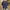 Blouse - Blauw